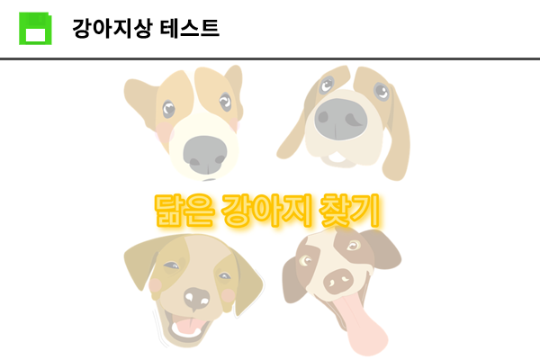 강아지상 테스트